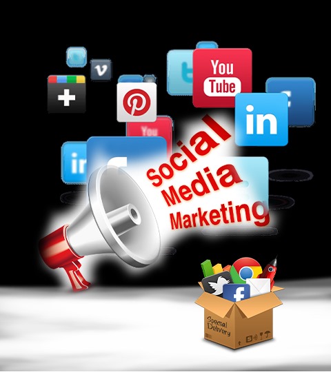 Social Media Marketing Company in Dehradun